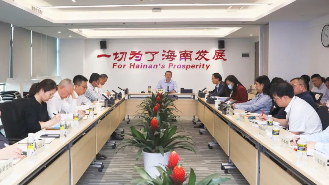 海南控股召开党委审计委员会会议 研究部署2023年审计工作