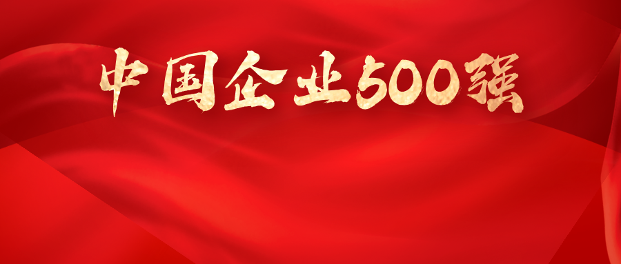 喜报丨海南控股入选2025中国企业500强 位列456名